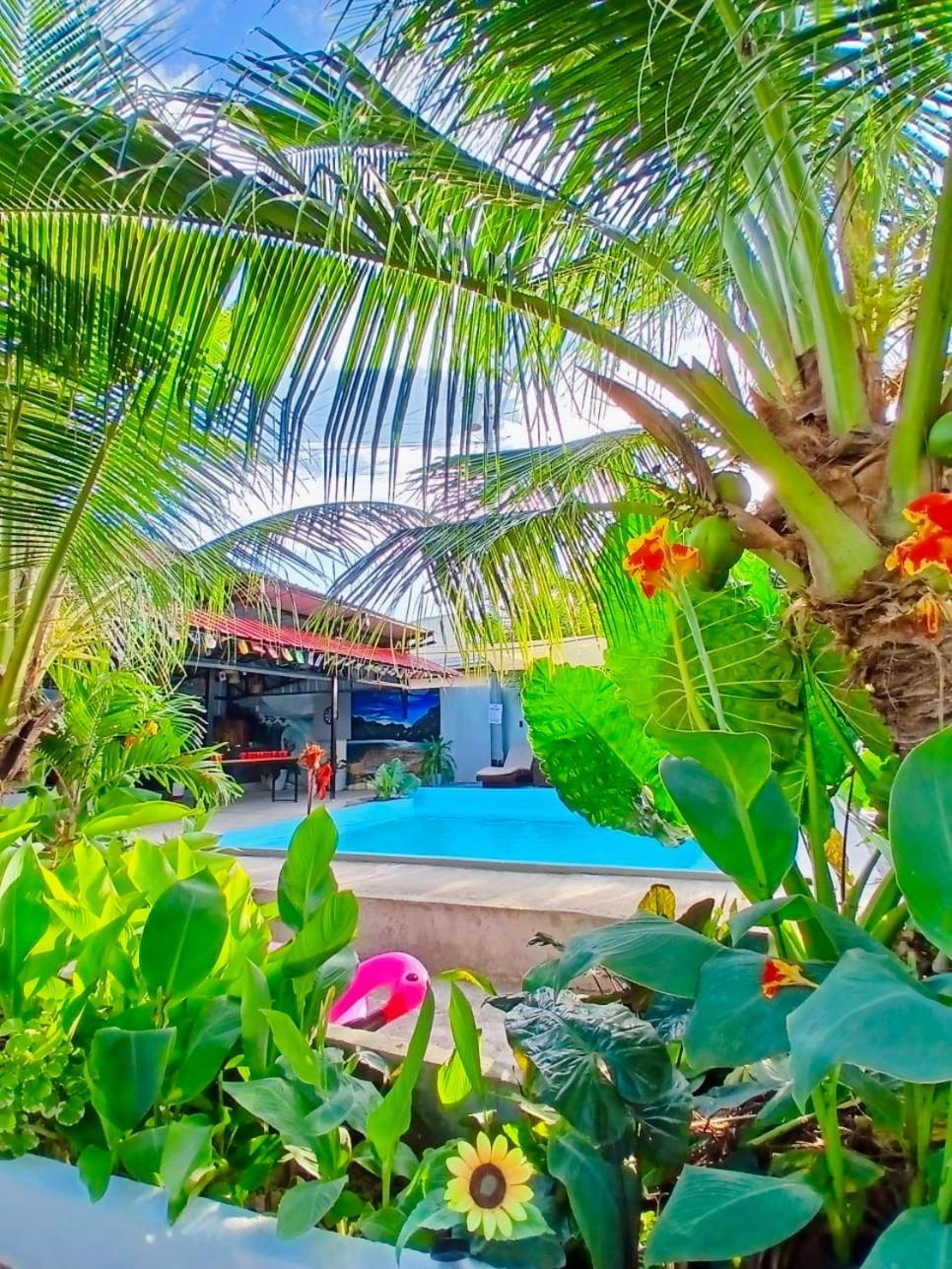 Ananas Guesthouse Moalboal Esterno foto