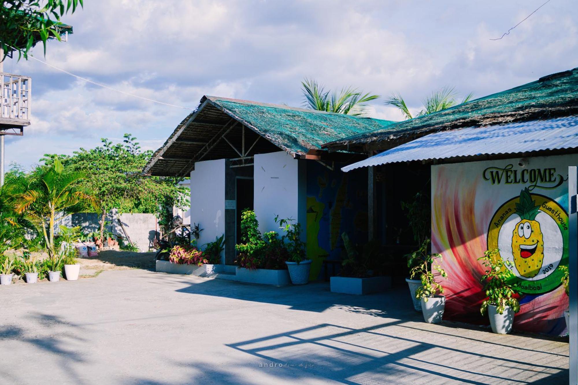 Ananas Guesthouse Moalboal Esterno foto